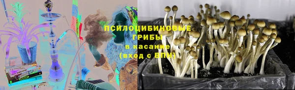 гидра Лиски