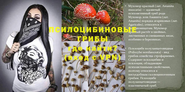 гидра Лиски