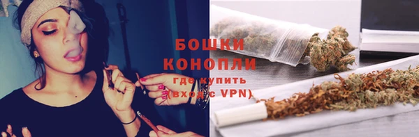 гидра Лиски