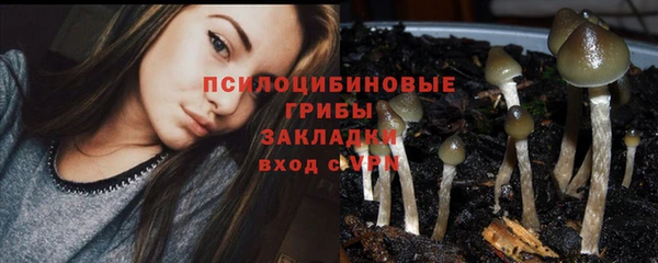 гидра Лиски