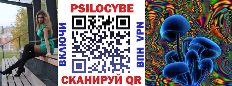Галлюциногенные грибы Psilocybe  Купить закладки  Новоалтайск 