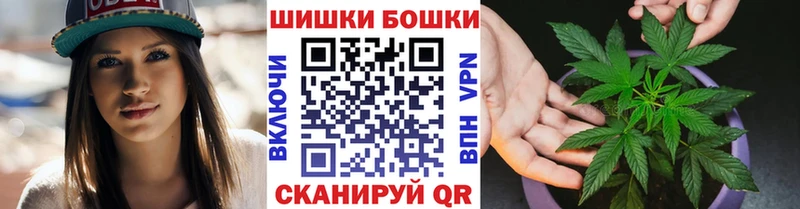 Купить  Новоалтайск  Бошки марихуана THC 21% 